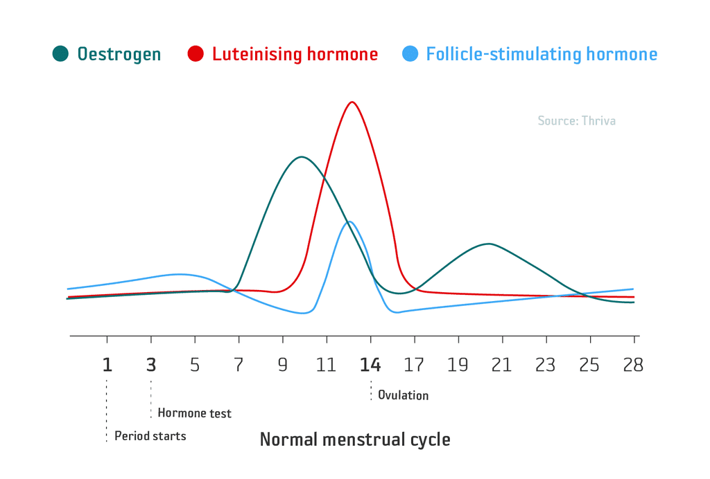 Menstrual hormone disbalance blood test