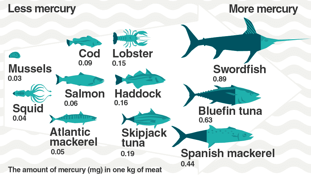 Mercury levels in seafood